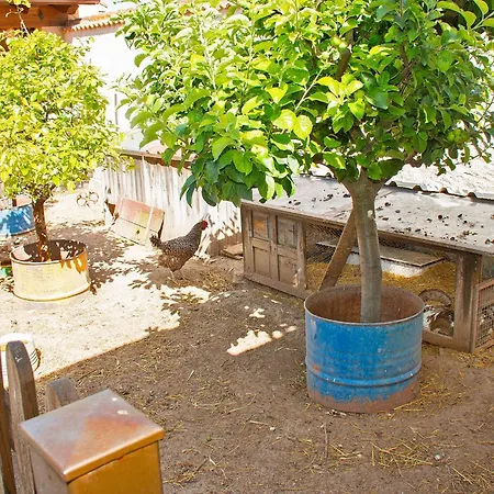 Casa Mariano منزل ريفي